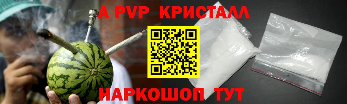 Альфа ПВП СК Новоалтайск