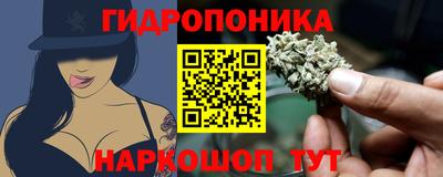 ешки Гусь-Хрустальный