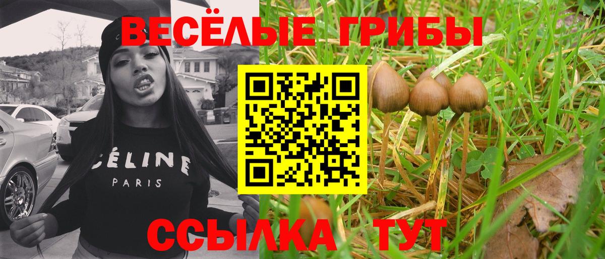 Галлюциногенные грибы ЛСД Новоалтайск